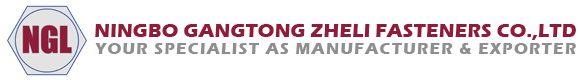 Fixadores Ningbo Gangtong Zheli: mais de 20 anos de fabricação profissional, capacitando a cadeia de fornecimento global de fixadores