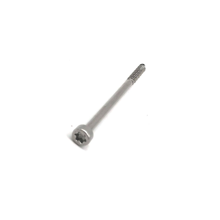 SS304 SS316 Aço inoxidável em forma de estrela Torx soquete/cabeça escareada/parafuso de segurança de cabeça panela